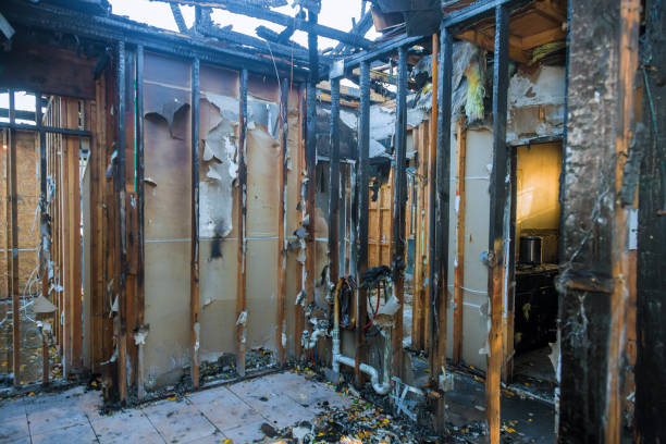 Professional Soot Cleanup technician working in Montrose, MI
